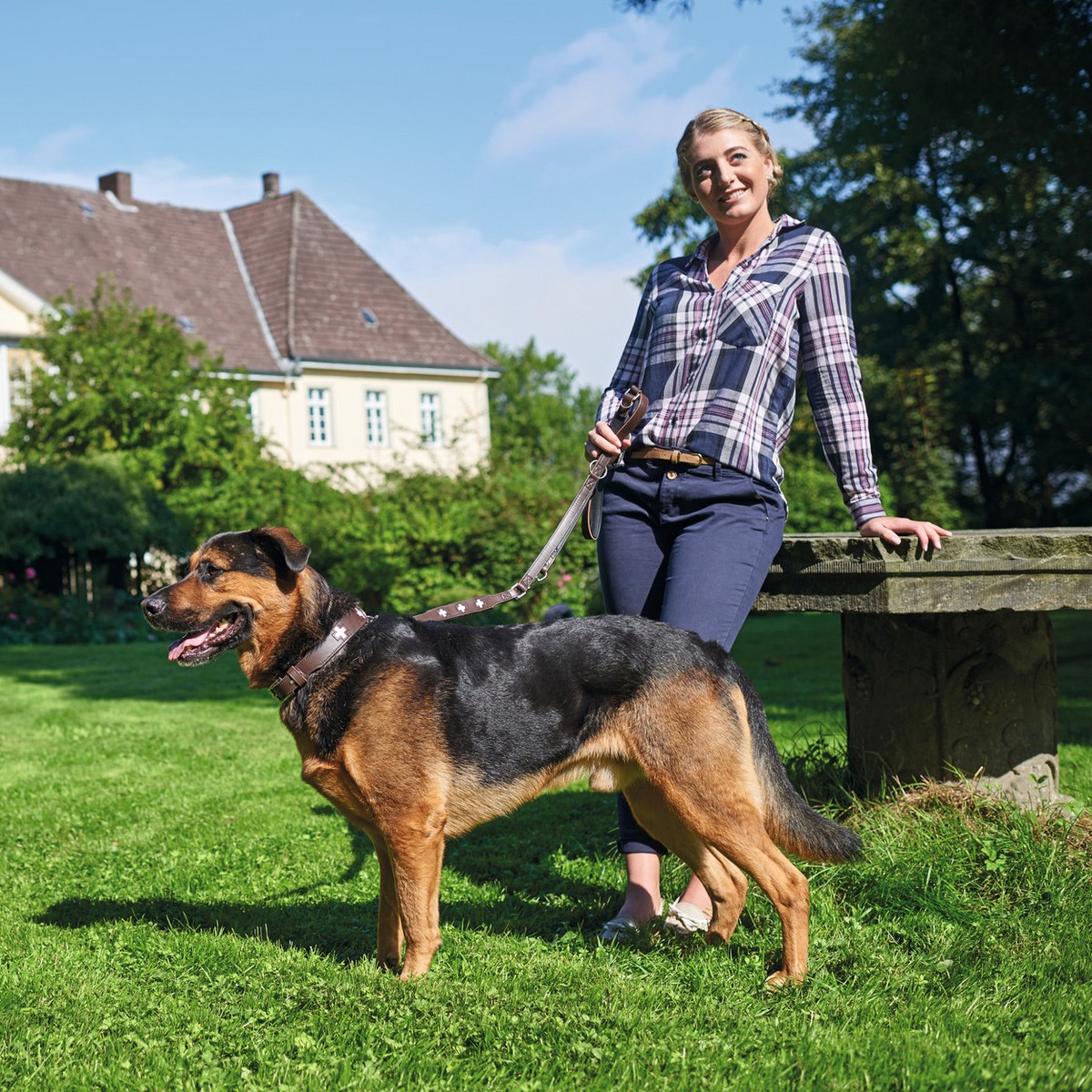 Hundhalsband Hunter Swiss Brun Svart M 55 cm - 3
