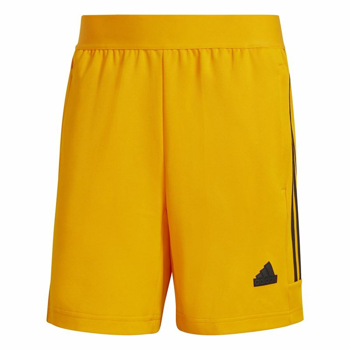 Fotbollsträningsbyxor, Vuxen Adidas House of Tiro National Pack Män