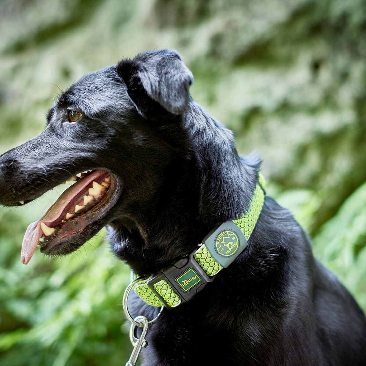 Hundhalsband Hunter Plus Tråd Storlek XL Lime (45-70 cm) - 4