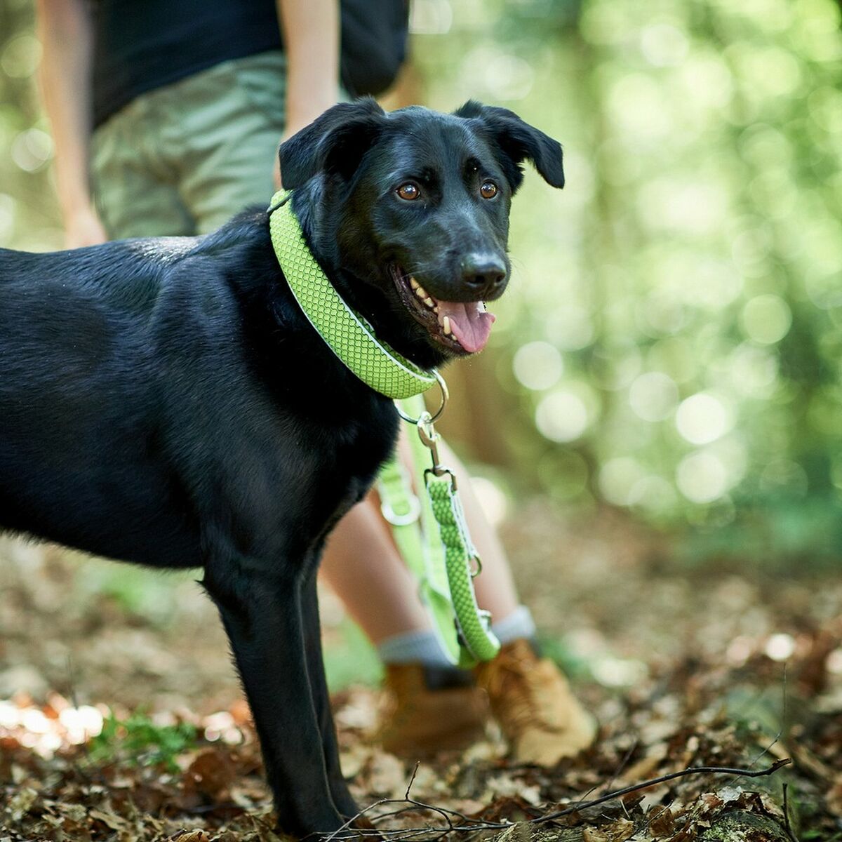 Hundhalsband Hunter Plus Tråd Storlek XL Lime (45-70 cm) - 7