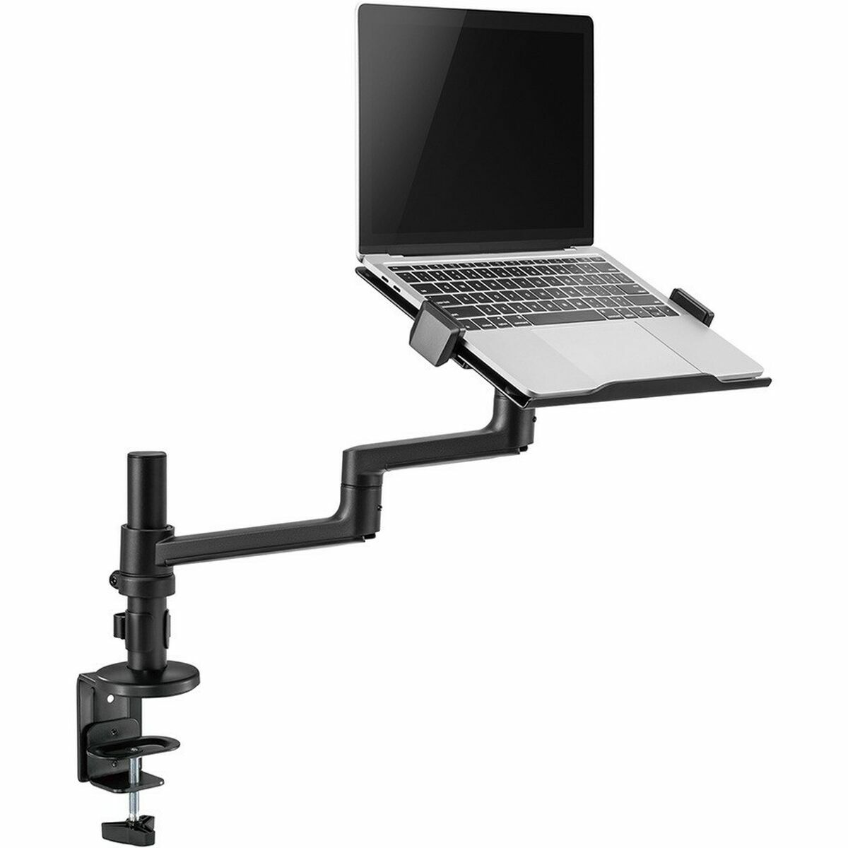 Fäste för Laptop, eBook och iPad Neomounts DS20-425BL1 17,3" 11,6"
