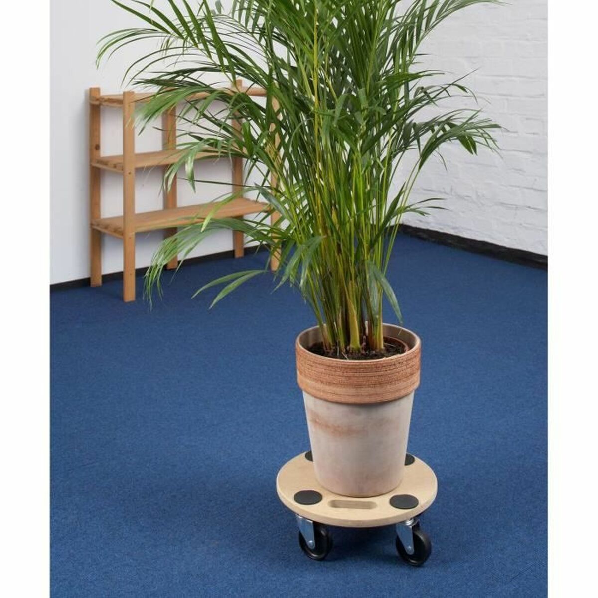 Sockel med hjul Meister 35 x 11 x 35 cm 150 kg Ø 35 cm - 2