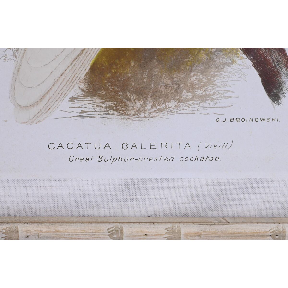 Kanvas DKD Home Decor 50 x 2,8 x 65 cm 50 x 65 x 2.8 cm Papegoja Cottage (4 Delar) - 3