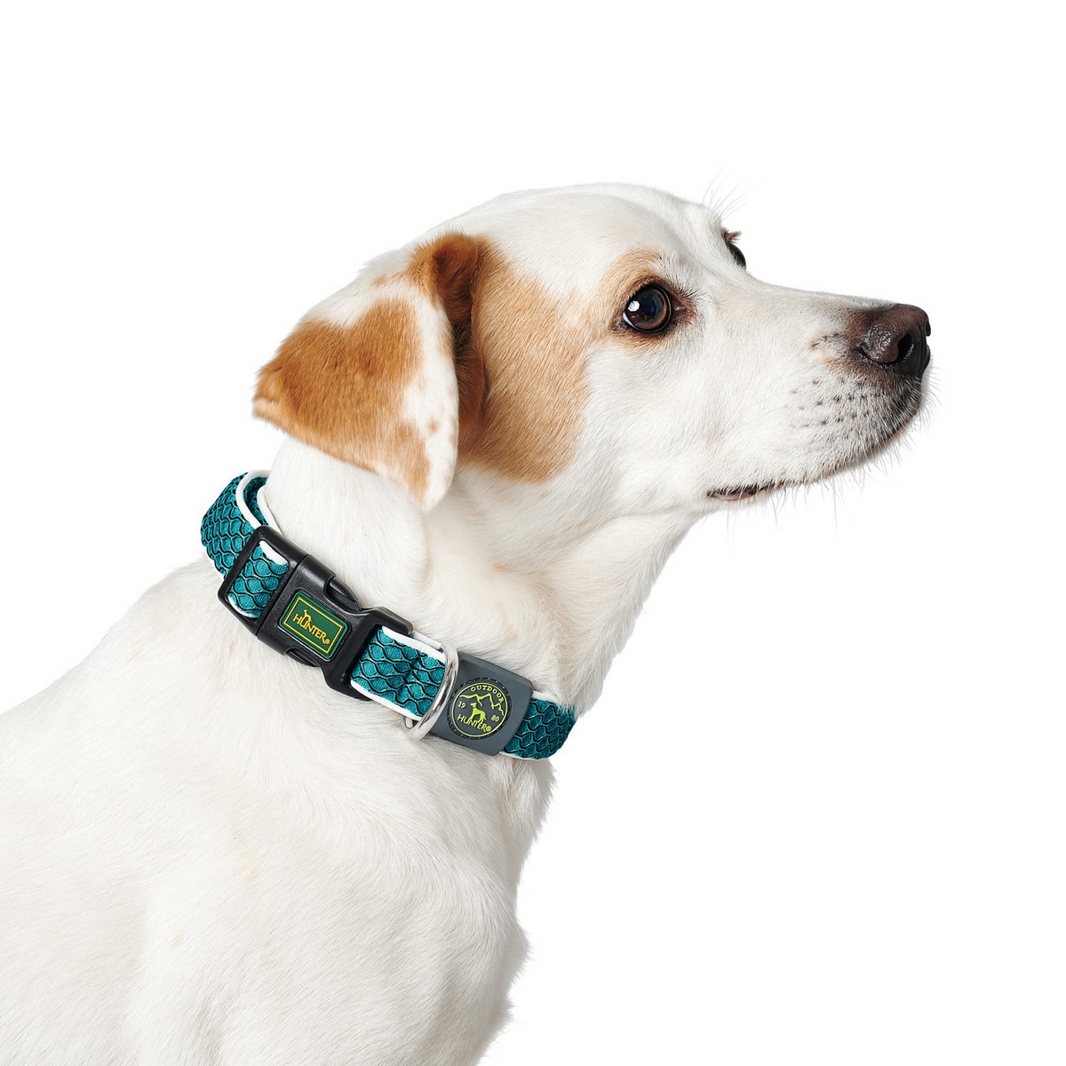 Hundhalsband Hunter Vario Basic Trådar Turkos 20 - 2