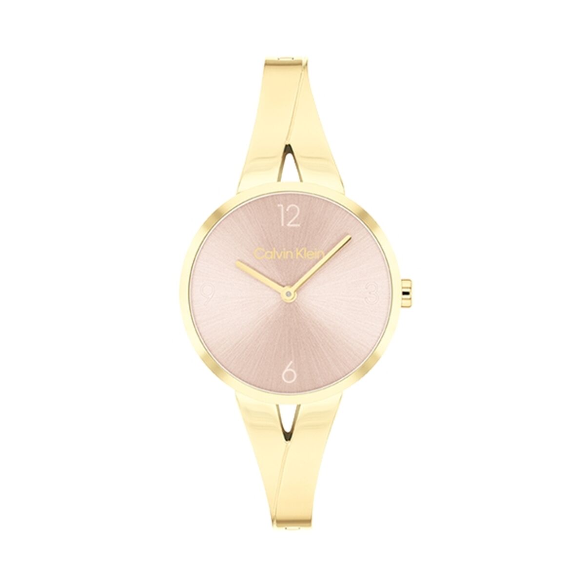 Damklocka Calvin Klein 25100027