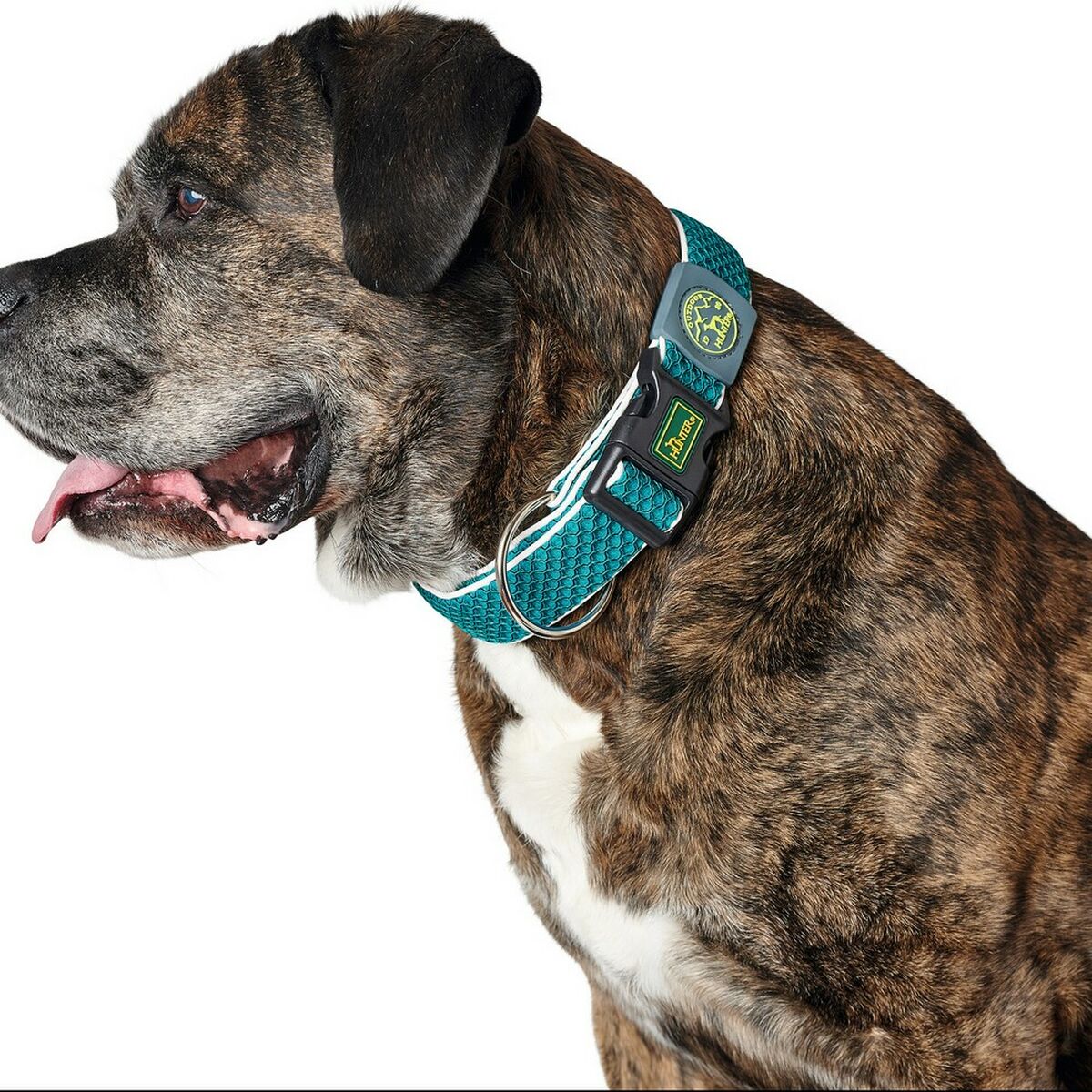 Hundhalsband Hunter Plus Tråd Turkos 11 - 3