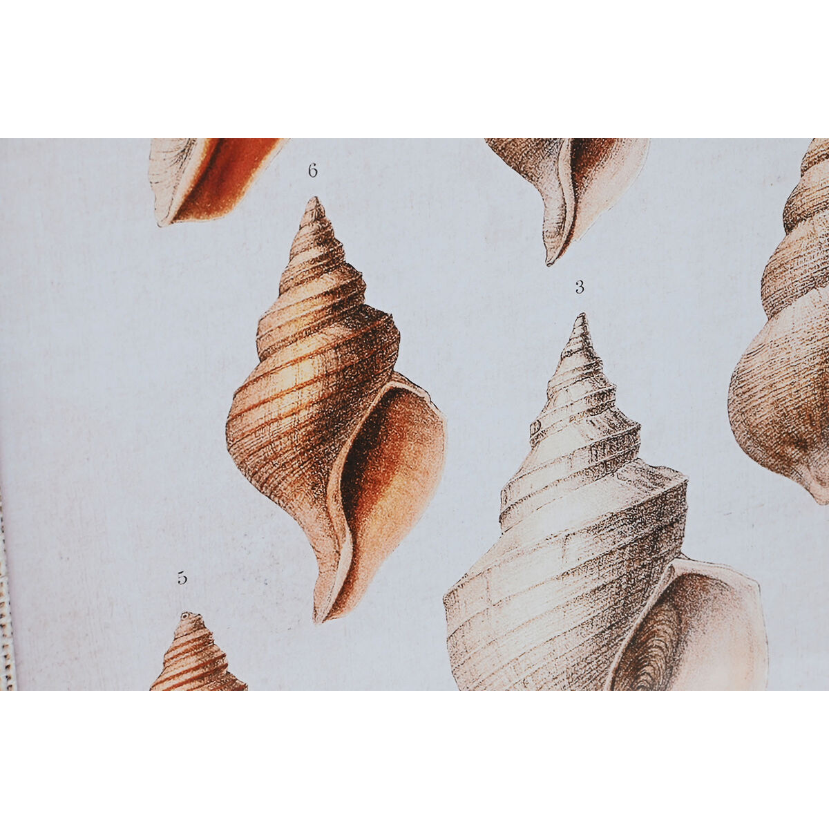 Tavla DKD Home Decor 50 x 2.5 x 70 cm 50 x 2,5 x 70 cm (2 antal) - 6