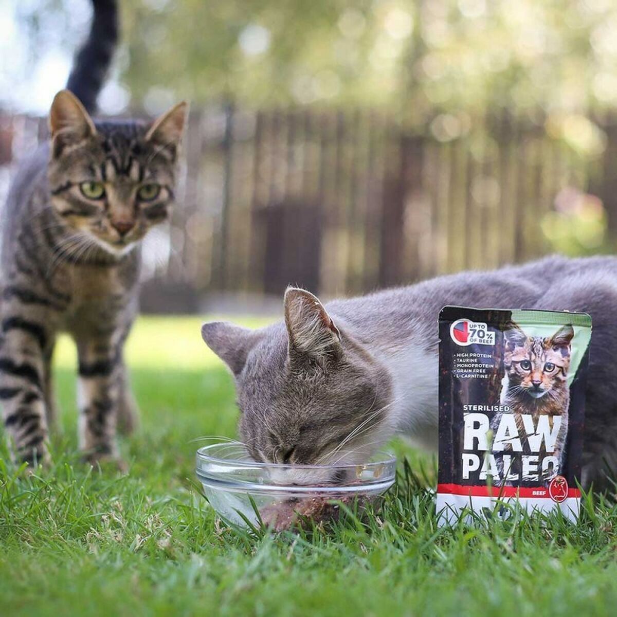 Kattmat VETEXPERT Adult Cat Nötkött 100 g - 2