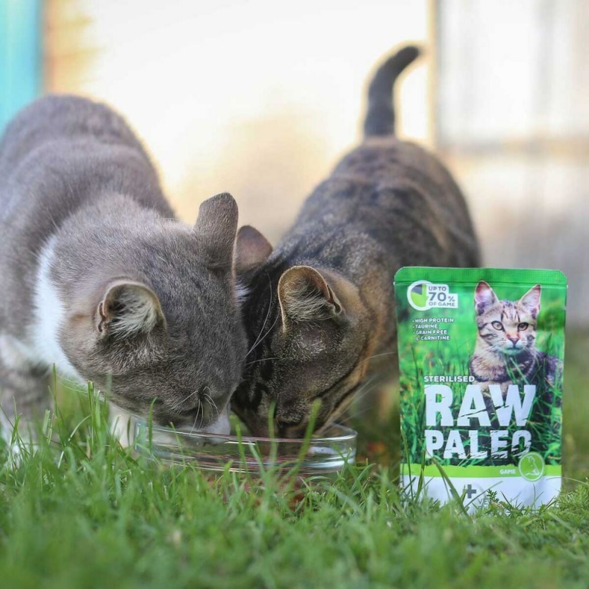 Kattmat VETEXPERT Adult Cat 100 g - 2
