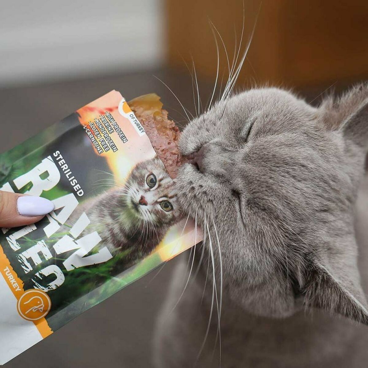 Kattmat VETEXPERT Adult Cat 100 g - 2