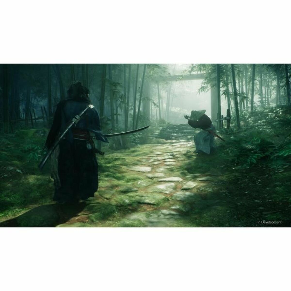 PlayStation 5 Videospel Sony Rise of the Ronin (FR) - 3