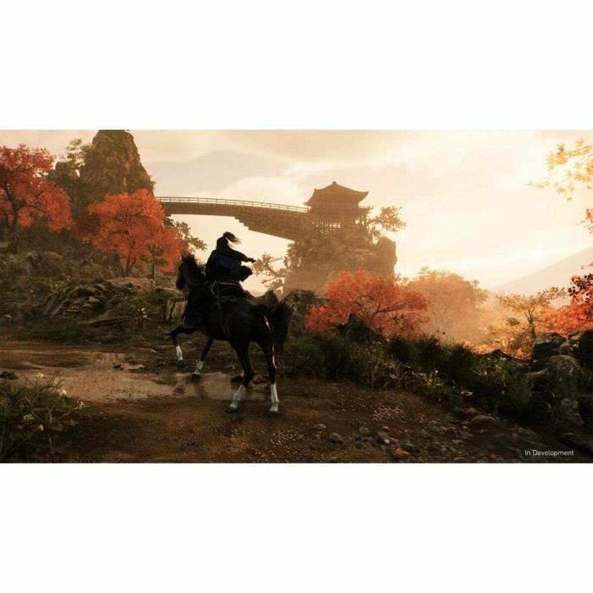 PlayStation 5 Videospel Sony Rise of the Ronin (FR) - 6