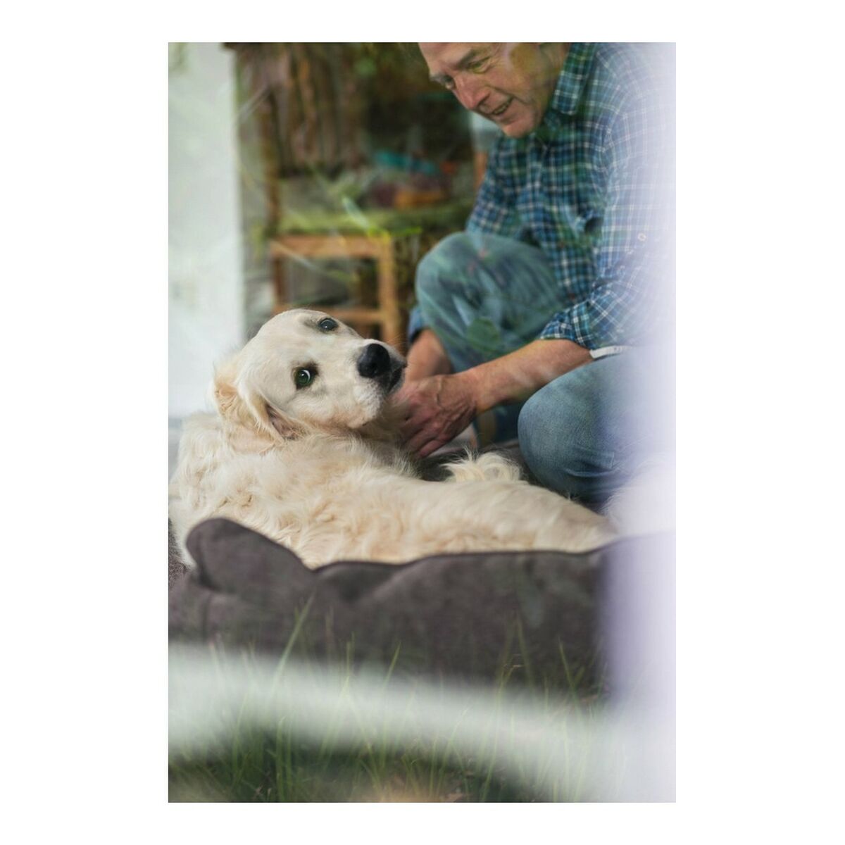 Dog Sofa Hunter Boston 80x60 cm Brun - 3