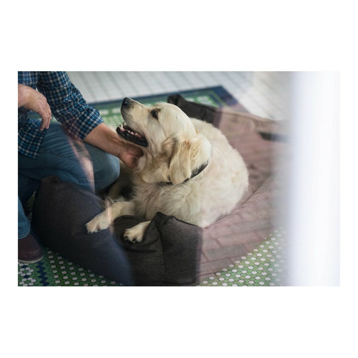 Dog Sofa Hunter Boston 80x60 cm Brun - 2