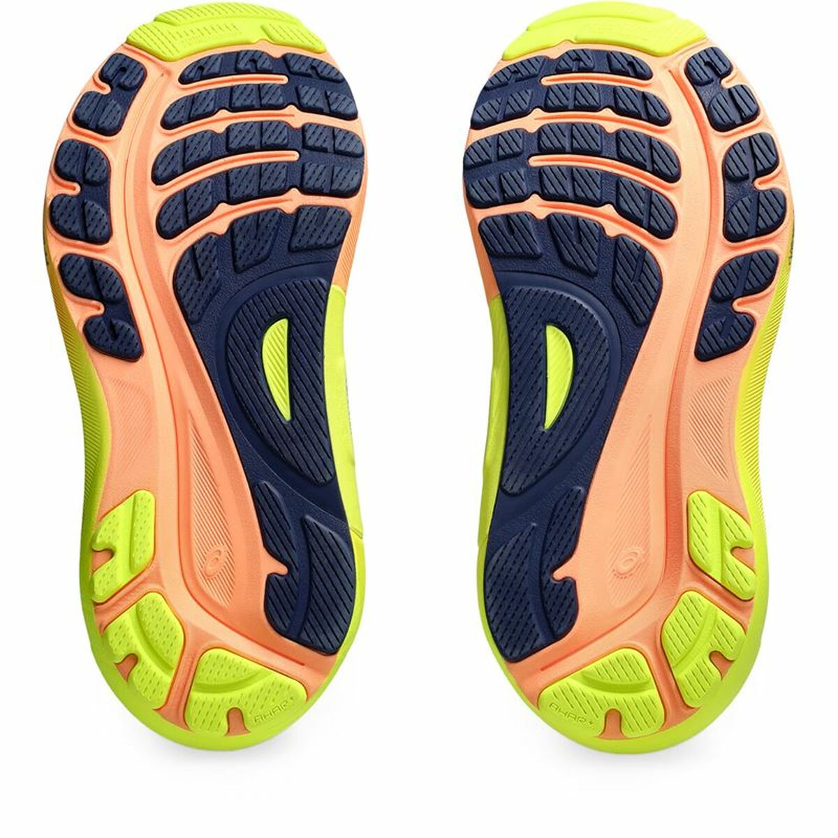 Sportskor Asics Gel-Kayano 31 Paris Grön Grå Kvinna - 3