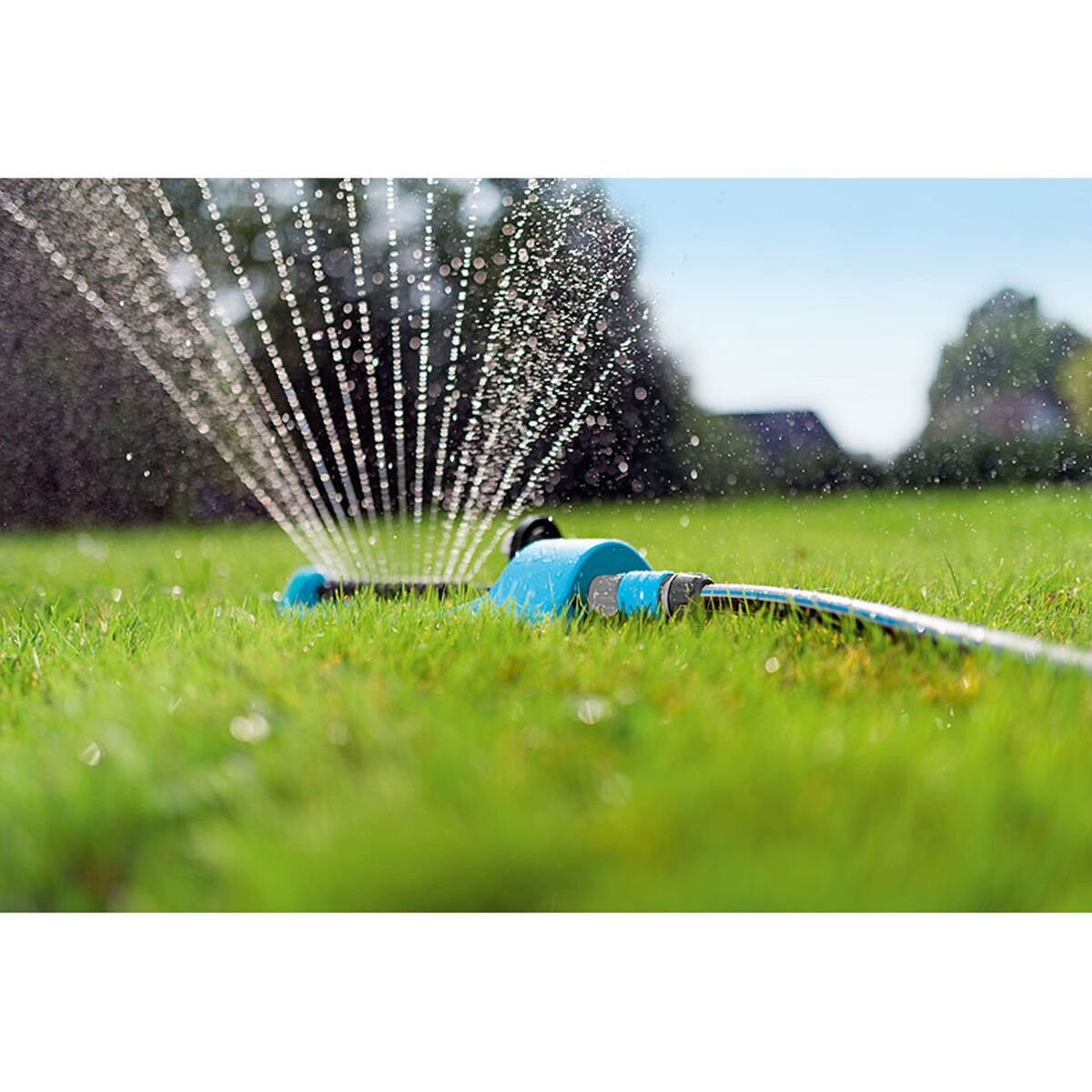 Sprinkler Cellfast Economic 4 bar 17 m 255 m² 16,5 l/min Oscillation - 2
