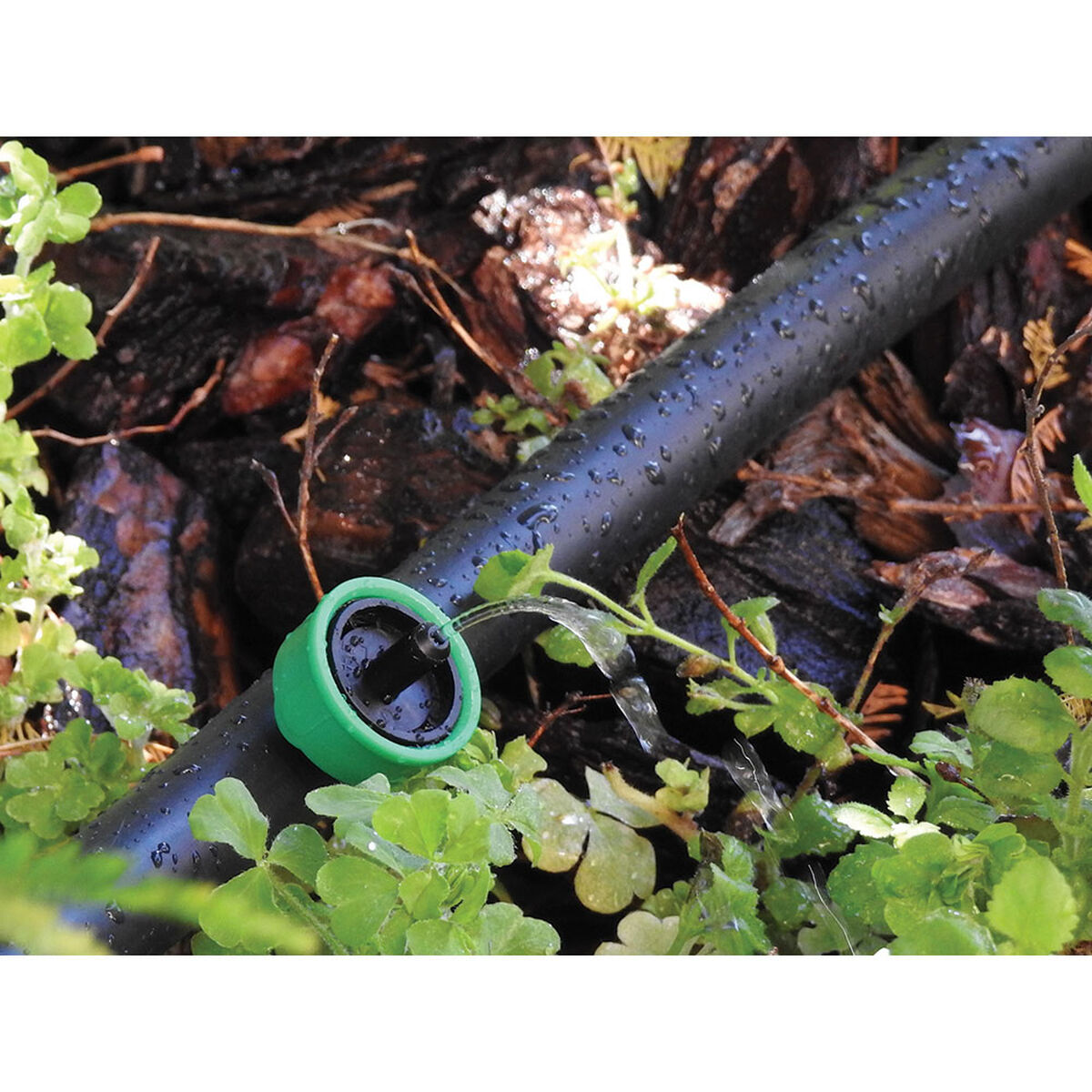 Självkompenserande droppare Aqua Control Stopper 905110 4 l/h Självrengörande Auto-dränering 10 antal - 3