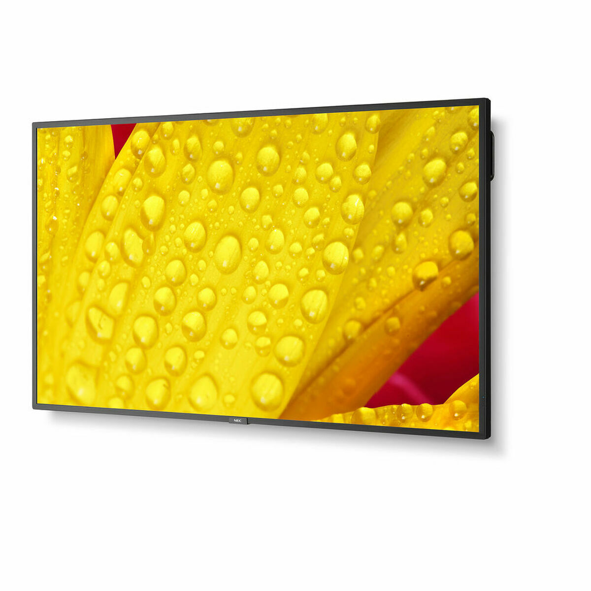 Videovägg Monitor NEC 60005062 LED 4K Ultra HD 65" 64"