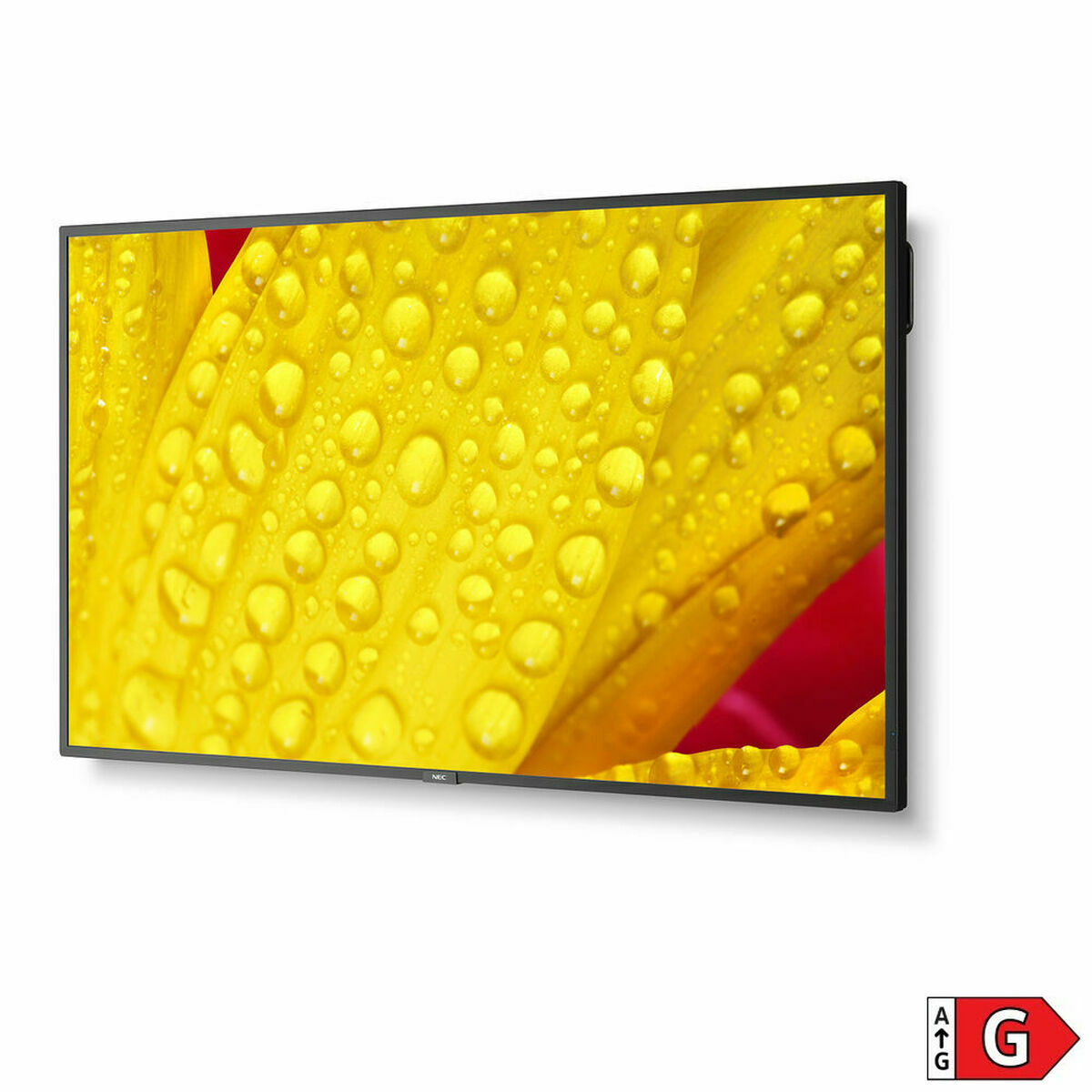 Videovägg Monitor NEC 60005062 LED 4K Ultra HD 65" 64" - 2