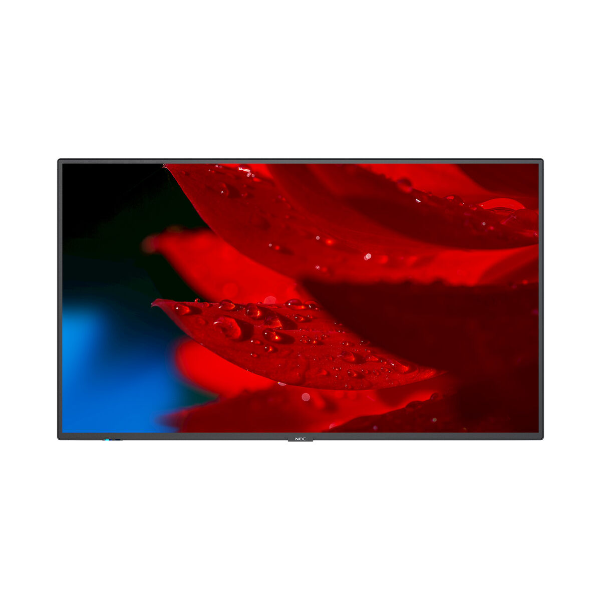 Videovägg Monitor NEC MA551 4K Ultra HD 55"