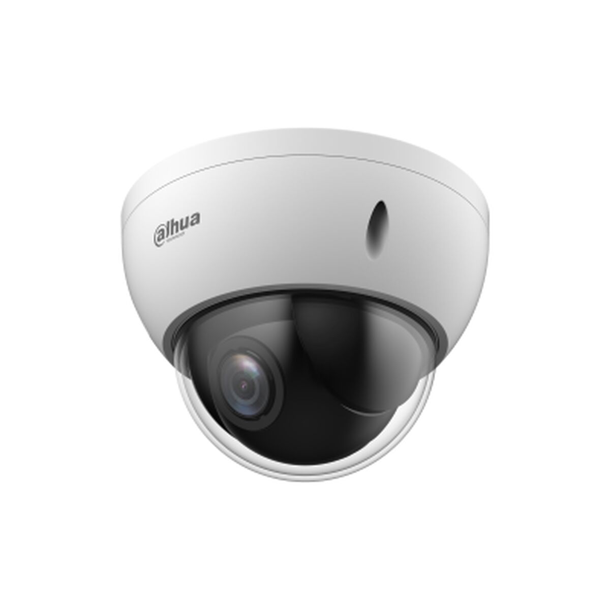 Övervakningsvideokamera Dahua SD22204DB-GNY
