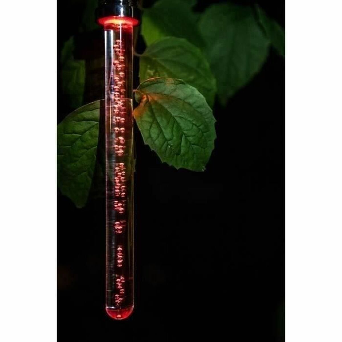 Solcellslampa Garden ID Crystal - 3