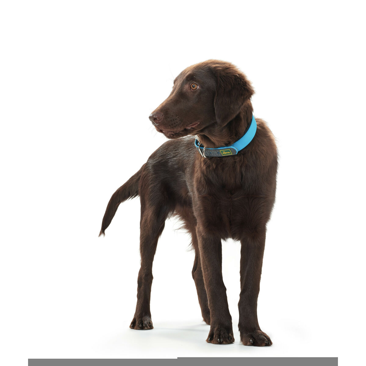 Hundhalsband Hunter Convenience Turkos (38-46 cm) - 8