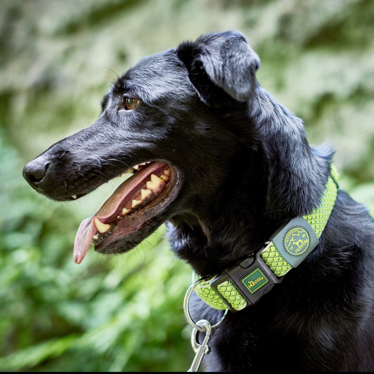 Hundhalsband Hunter Vario Plus Trådar Storlek L Lime (40-60 cm) - 6