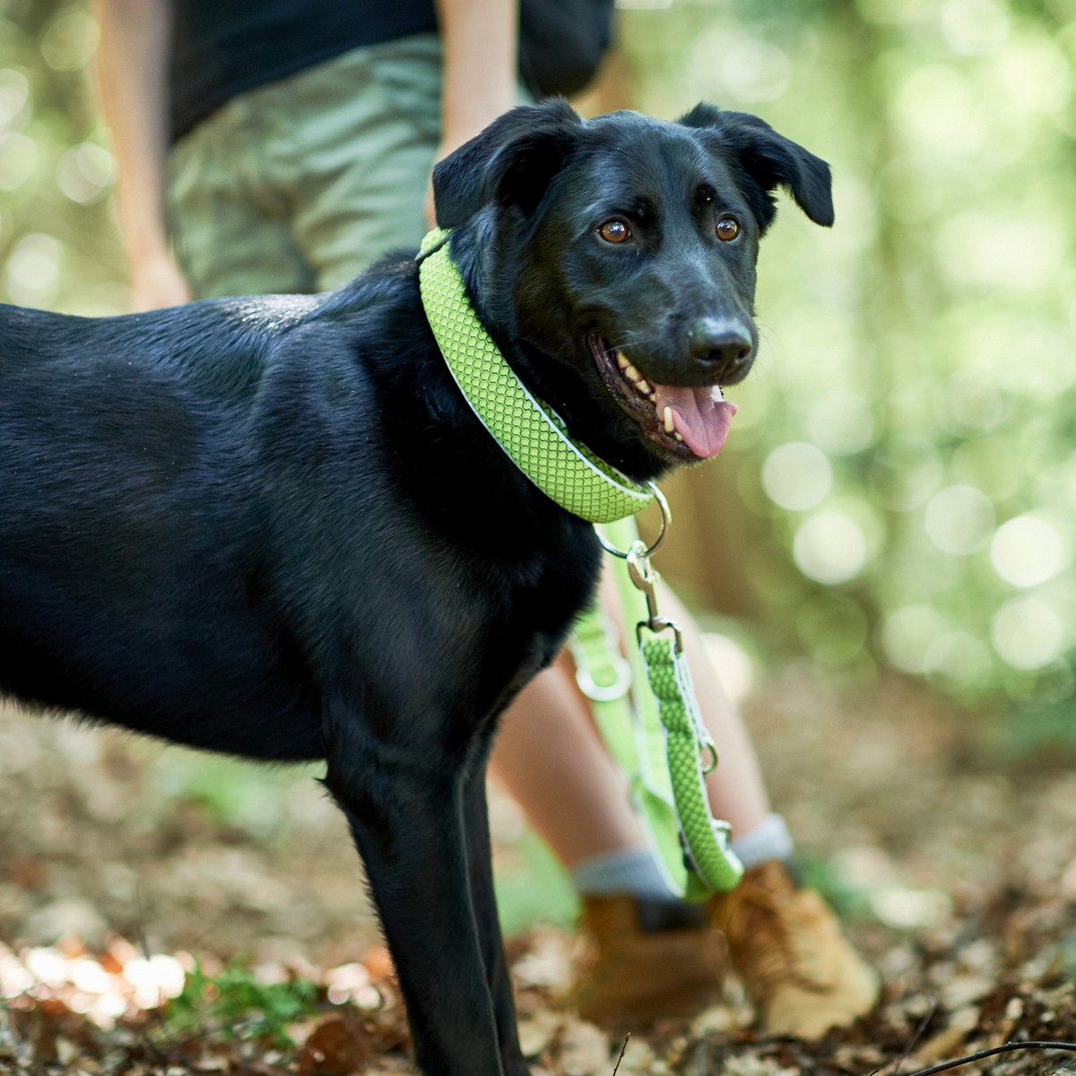 Hundhalsband Hunter Vario Plus Trådar Storlek L Lime (40-60 cm) - 2
