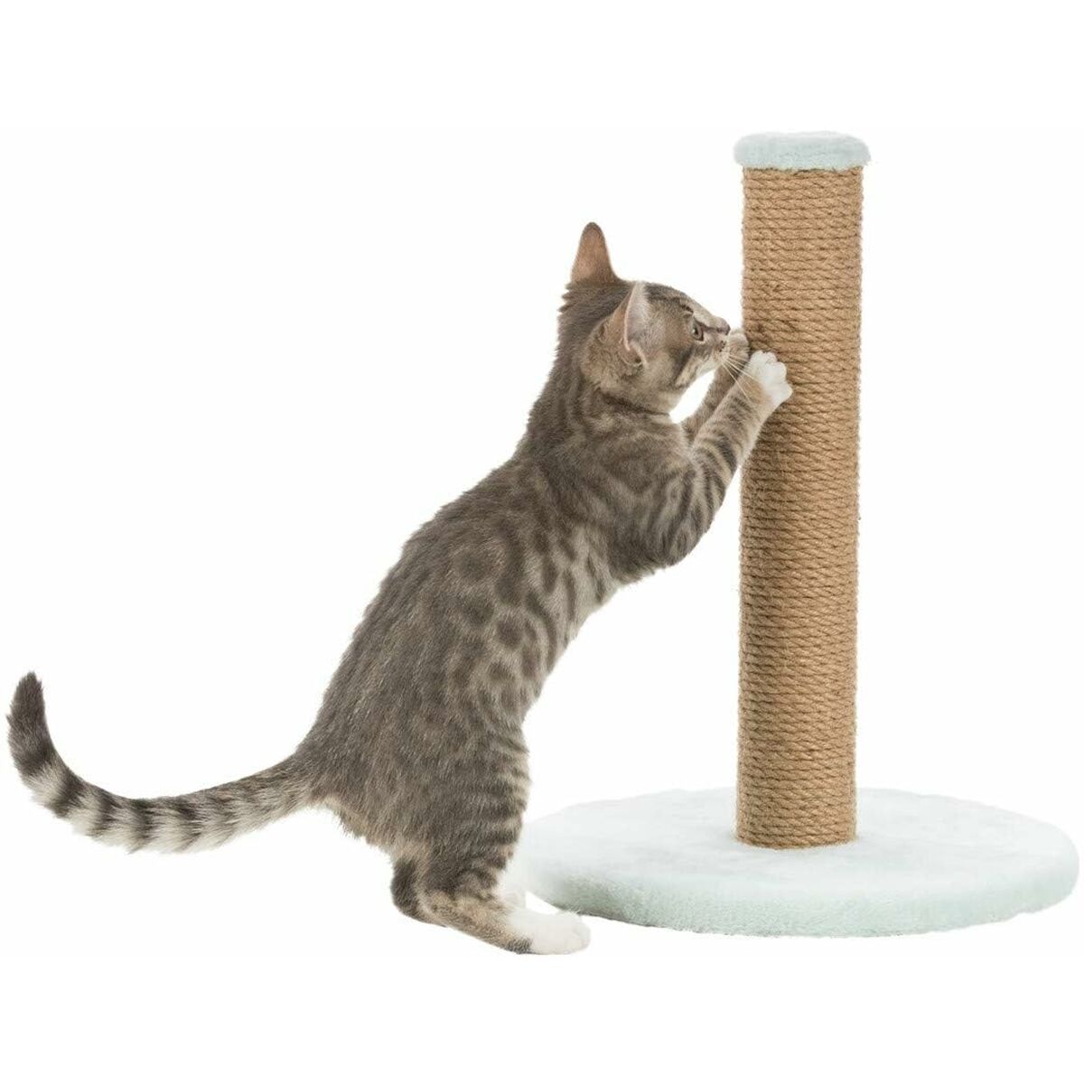 Klösbräda för katter Trixie Junior Mint Ø 7 cm 42 cm - 4