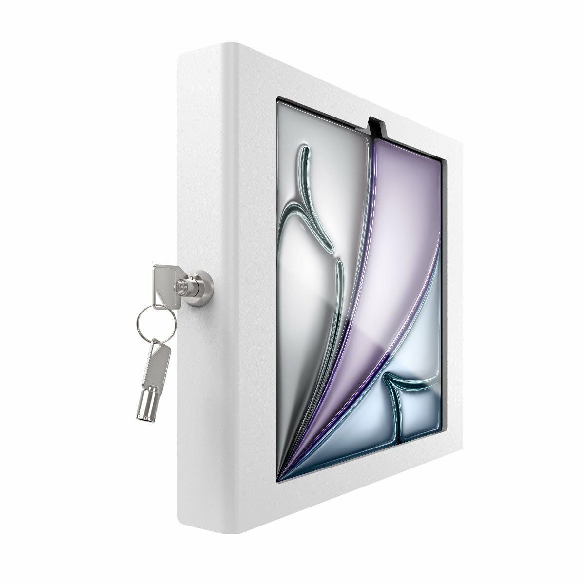Övervakningsvideokamera Compulocks 11APXW