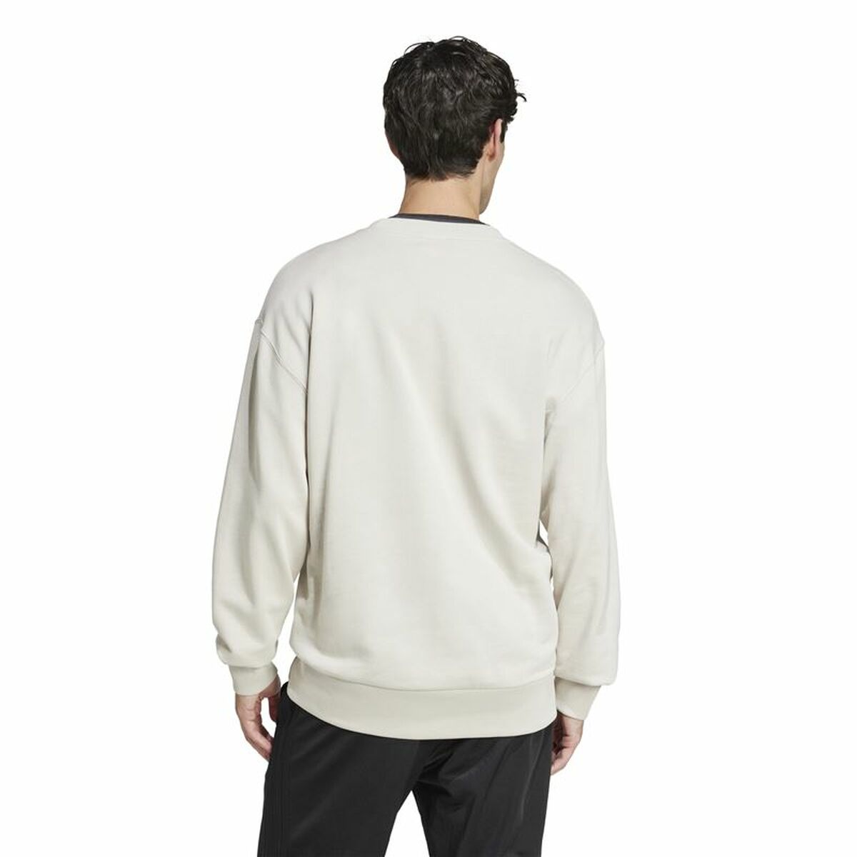 Tröja utan huva Herr Adidas All Szn French Terry Crew Beige - 3