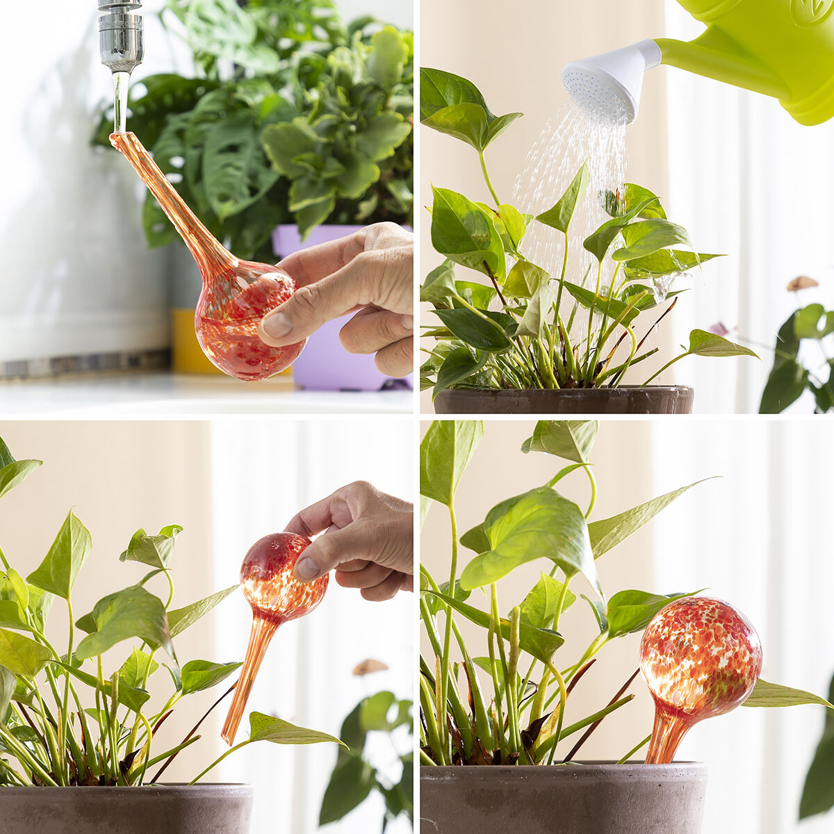 Automatiska bevattningsglober Ballwooters InnovaGoods 4 antal - 10