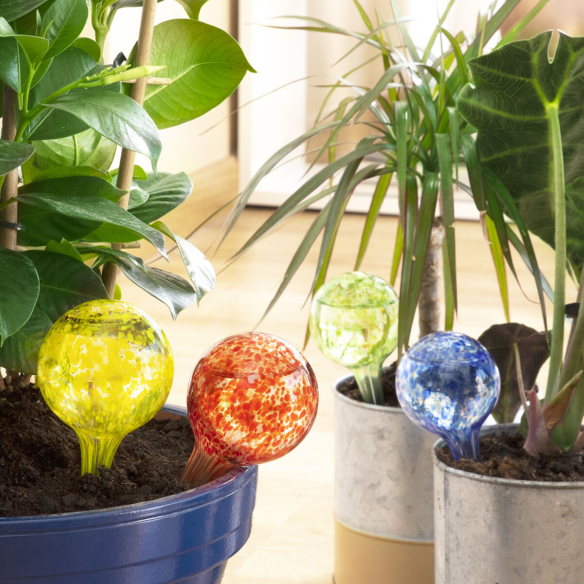 Automatiska bevattningsglober Ballwooters InnovaGoods 4 antal - 13