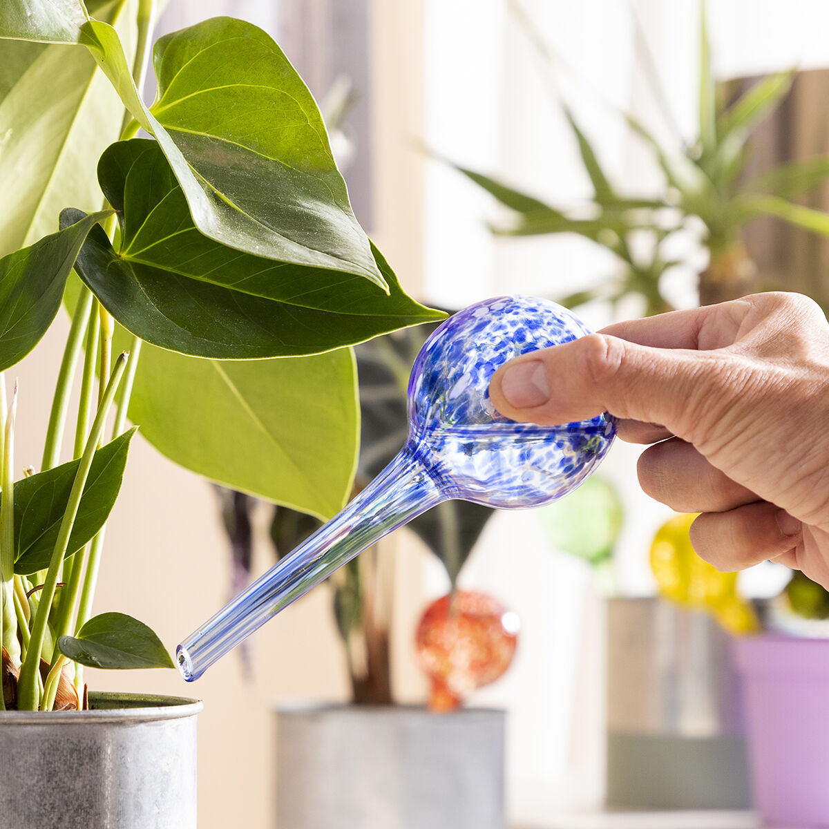 Automatiska bevattningsglober Ballwooters InnovaGoods 4 antal - 9