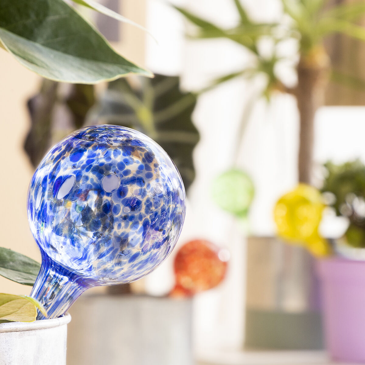 Automatiska bevattningsglober Ballwooters InnovaGoods 4 antal - 12