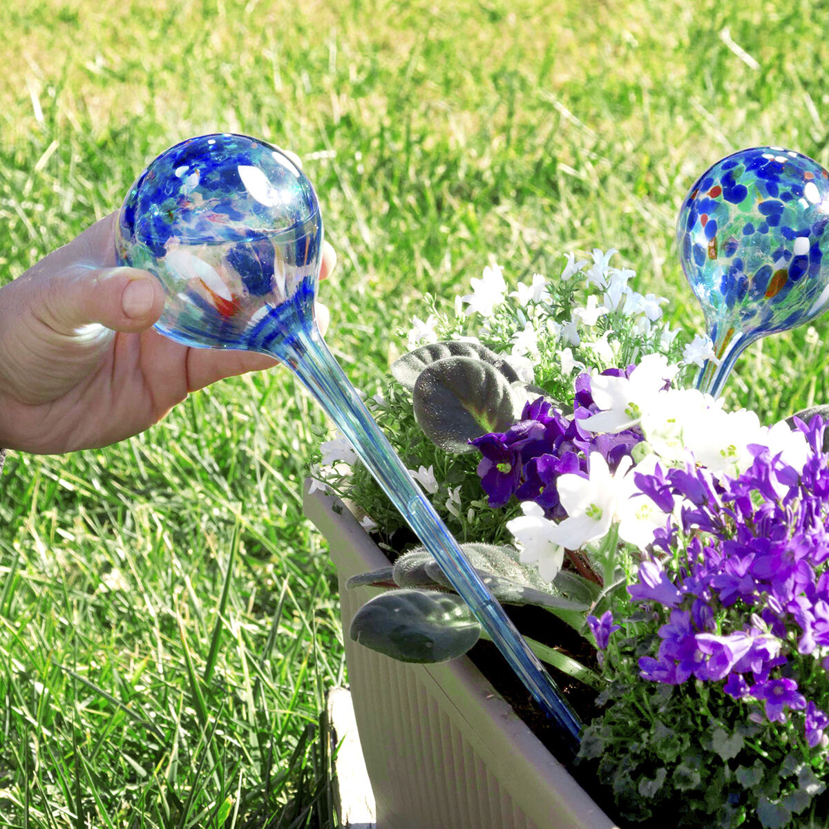 Automatiska bevattningsglober Aqua·Loon InnovaGoods 2 antal - 3