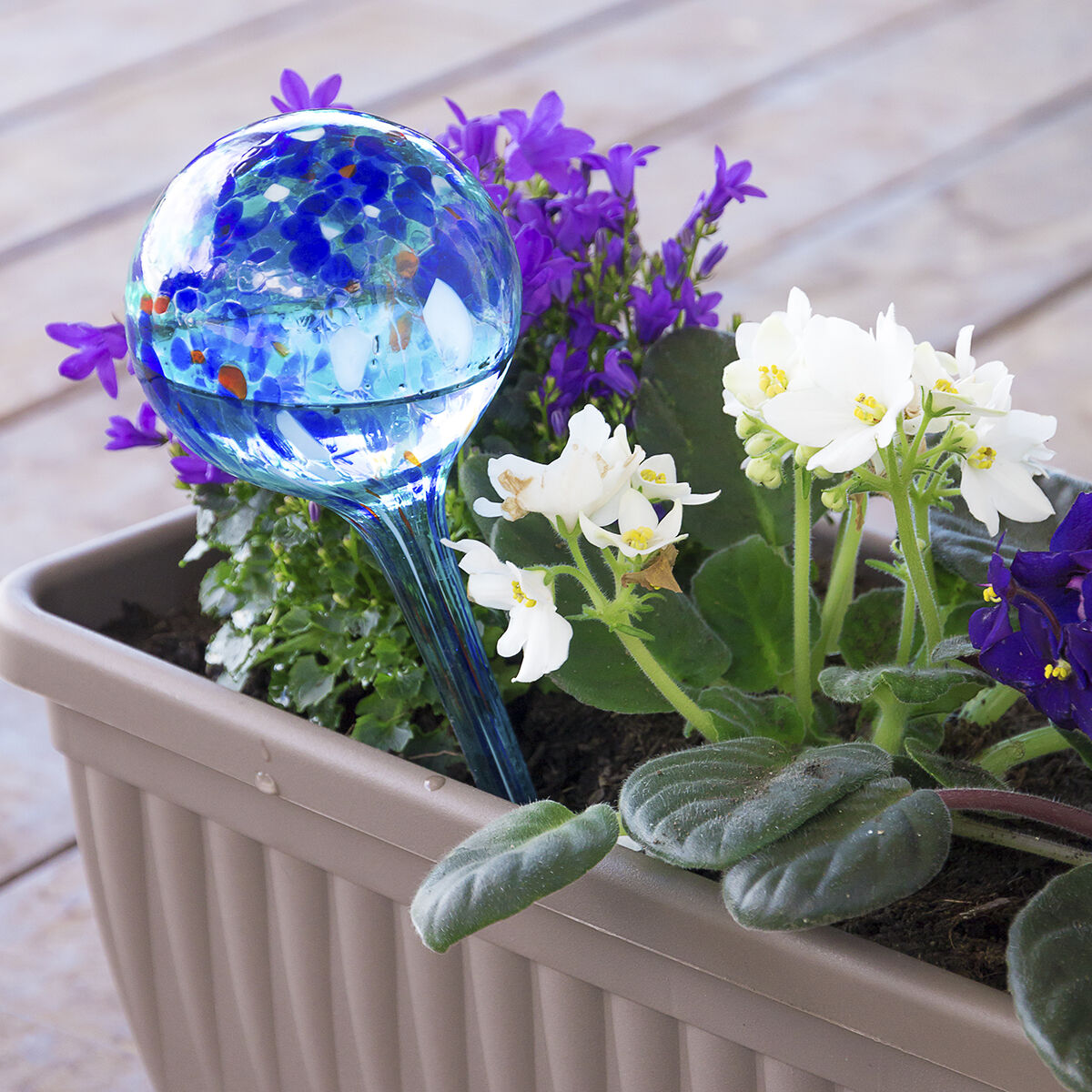 Automatiska bevattningsglober Aqua·Loon InnovaGoods 2 antal - 9