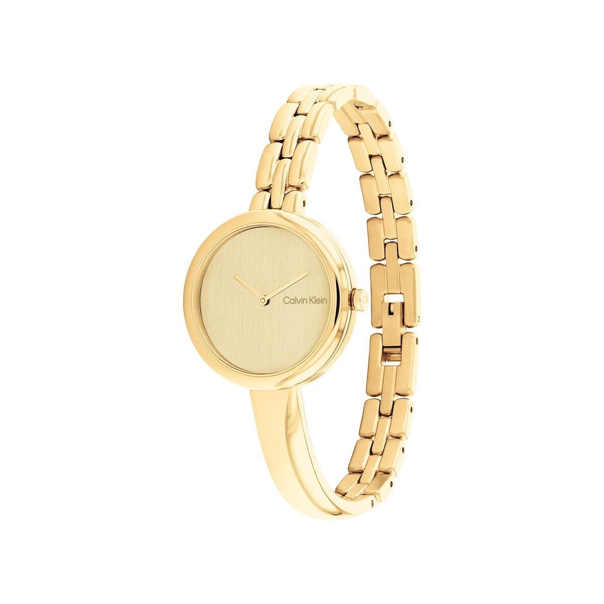 Herrklocka Calvin Klein 25200279 Gyllene - 5