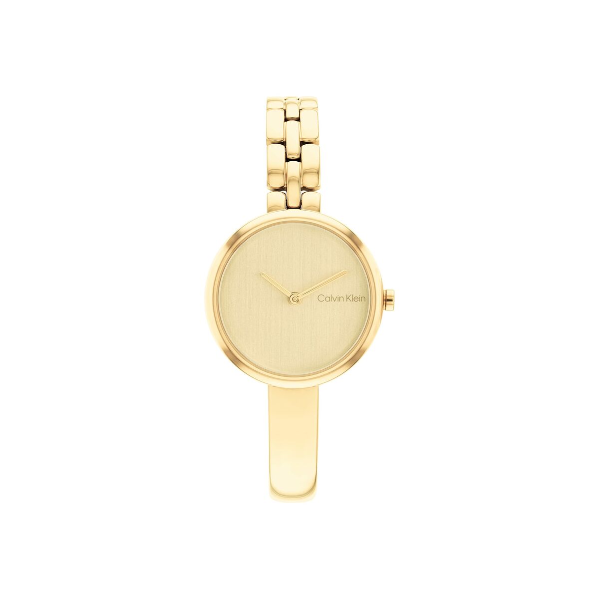 Herrklocka Calvin Klein 25200279 Gyllene - 6