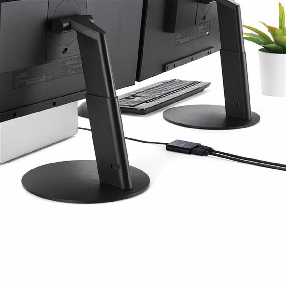 Dock Startech MSTCDP122HD          4K Ultra HD Svart - 4