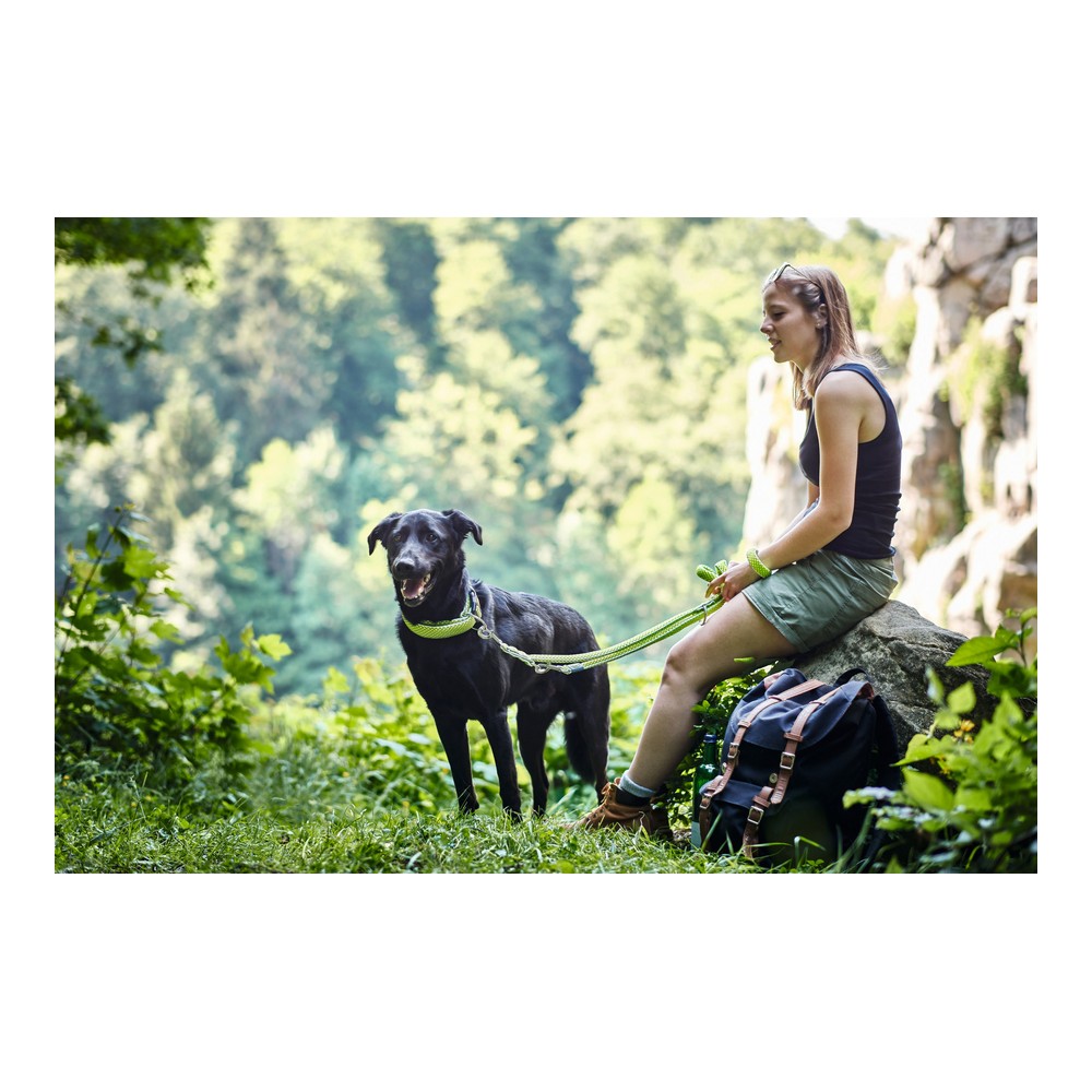 DoHundkoppel Hunter HILO Röd (200 cm) - 2