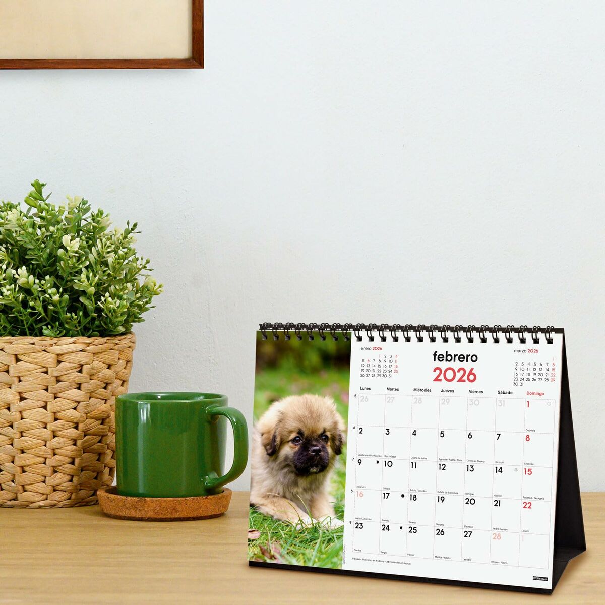 Skrivbordskalender Finocam Multicolour Papper 21 x 15 cm - 2