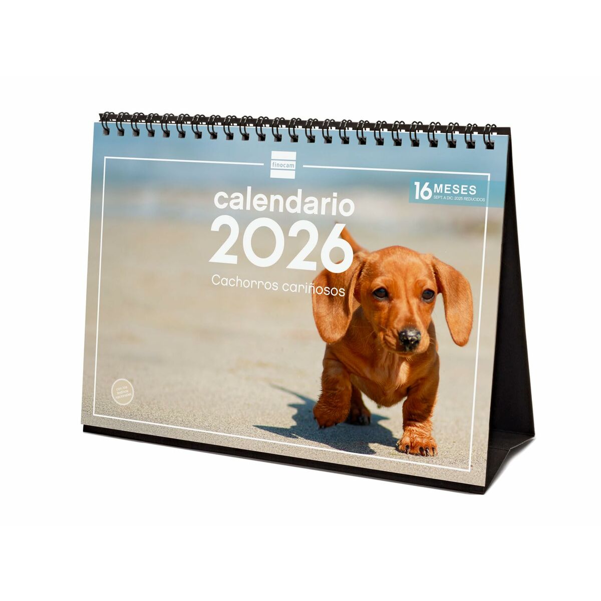 Skrivbordskalender Finocam Multicolour Papper 21 x 15 cm