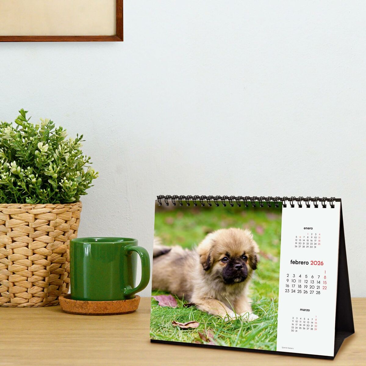 Skrivbordskalender Finocam Multicolour Papper 21 x 15 cm - 3