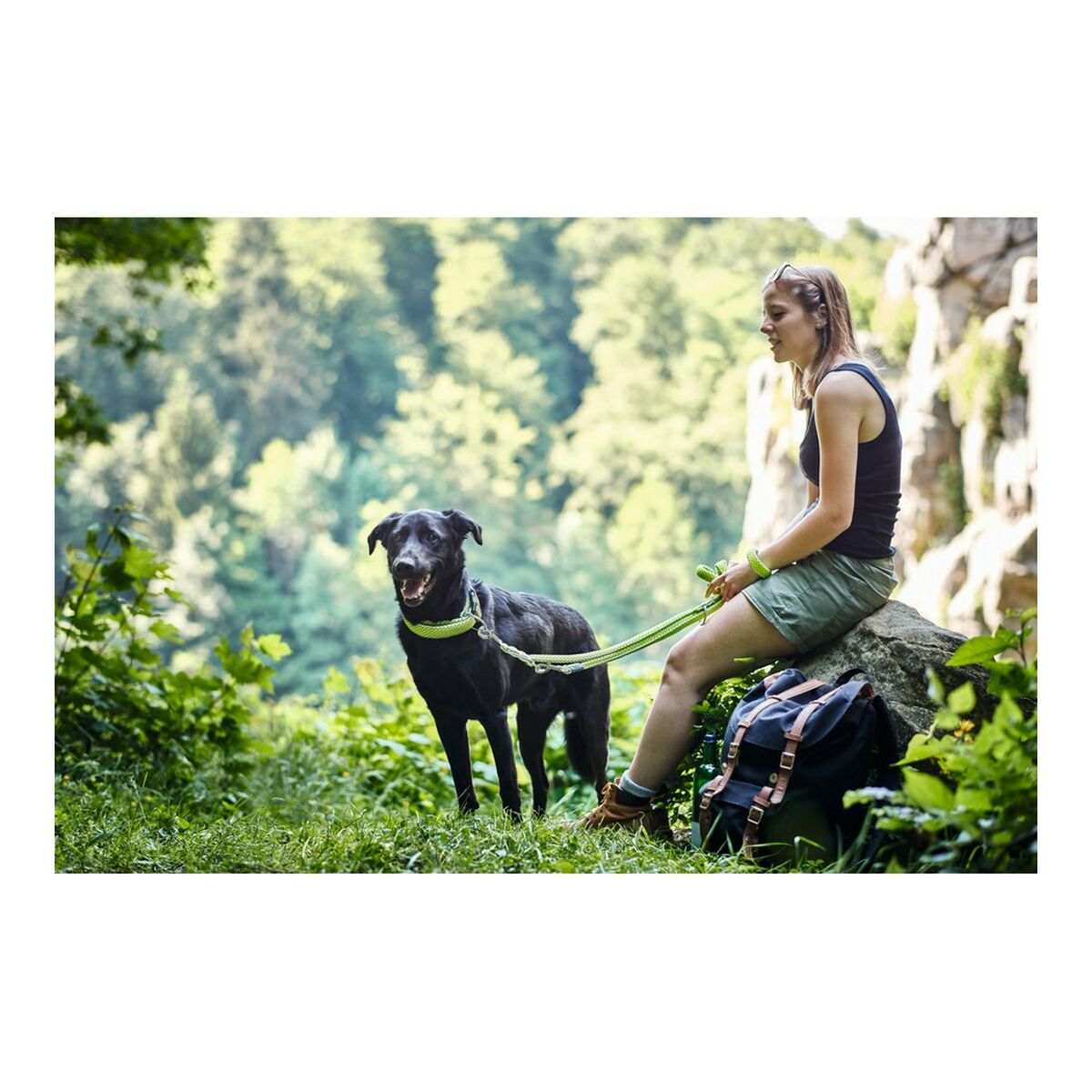 DoHundkoppel Hunter HILO Brun (200 cm) - 9