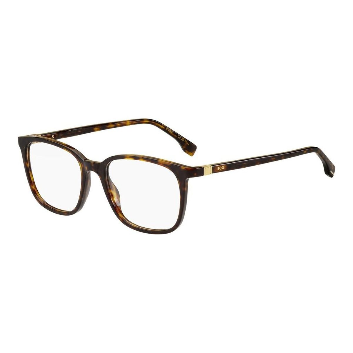 Glasögonbågar Hugo Boss BOSS 1494