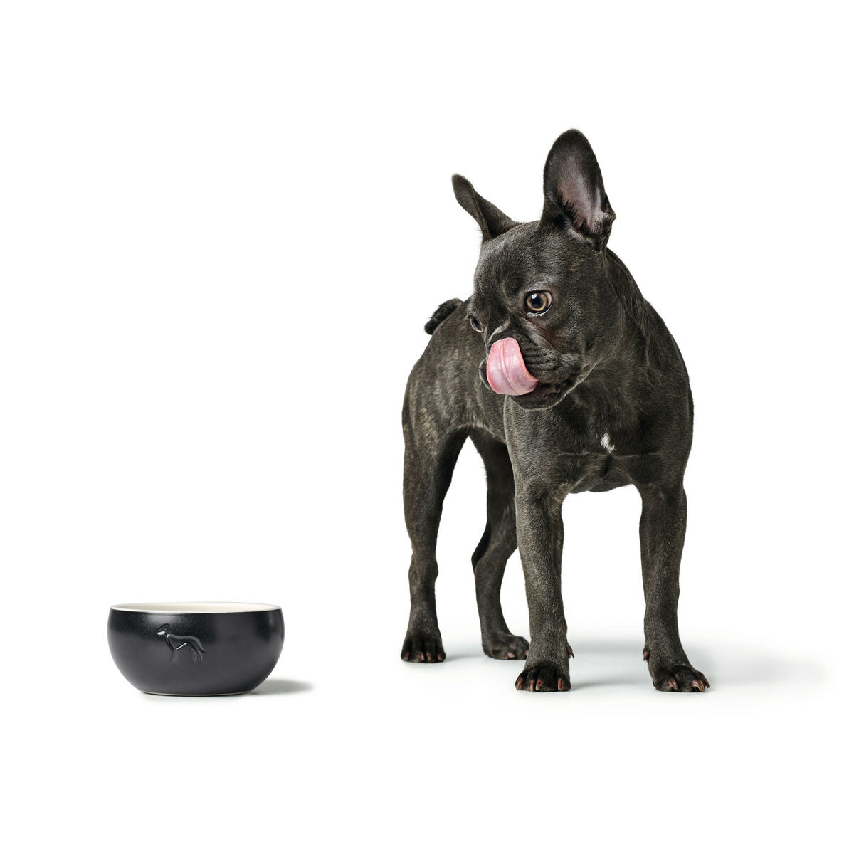 Hundmatare Hunter Svart Keramik Silikon 550 ml Modern - 2