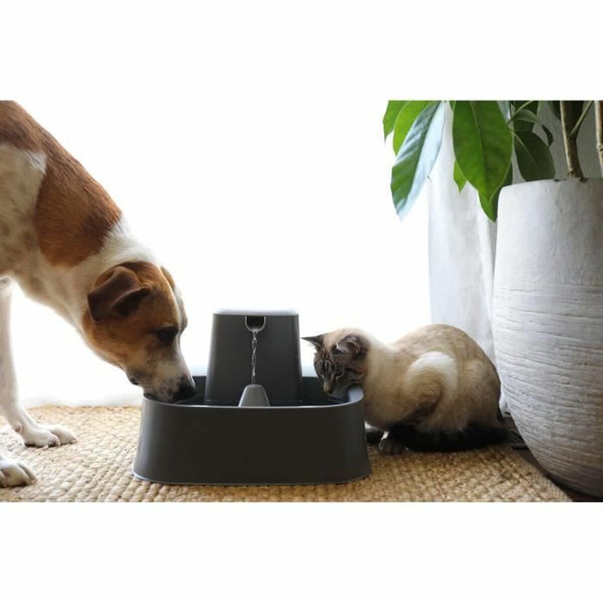 Fontän för husdjur PetSafe 7,5 L - 3