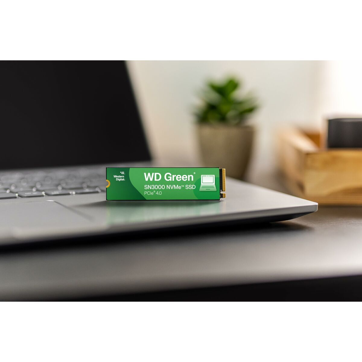 Hårddisk Western Digital WD Green SN3000 1 TB SSD - 2